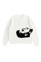 Portrait Knitsweater